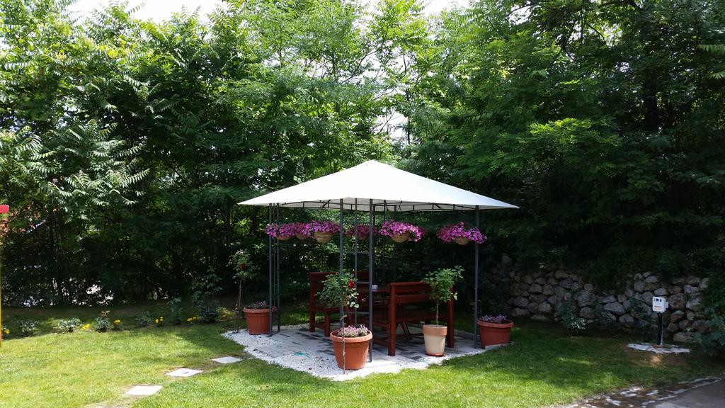 Vila Dincic Doo Veliko Gradište Екстериор снимка
